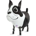 Μπαλόνι Σκυλάκι Boston Terrier που περπατάει 48 εκ