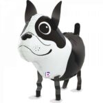 Μπαλόνι Σκυλάκι Boston Terrier που περπατάει 48 εκ - Image 3