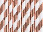 Rosegold χάρτινα καλαμάκια ριγέ (10 τεμ) - Image 4