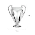 Μπαλόνι ασημί Κύπελο Champion 33" - Image 2